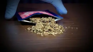Droga K9: efeitos, sintomas, riscos e tratamento